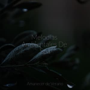 Melodías Ambientales De Spa - Sonidos de la Naturaleza Relajacion