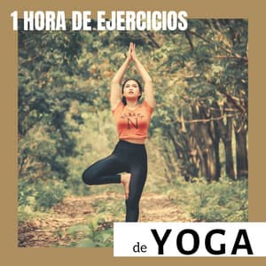 1 Hora de Ejercicios de Yoga - La Mejor Música para tu Práctica Diaria - Musica de Yoga