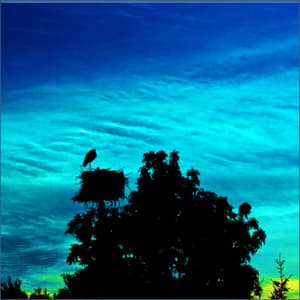 White Noise, Brown Noise, Appliances, Water and other Audio - Humming Essence