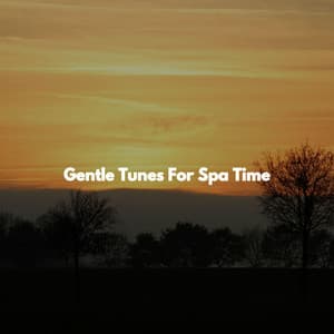 Gentle Tunes For Spa Time - Yoga Flow