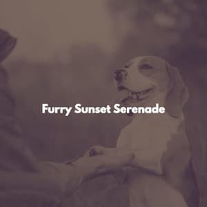Furry Sunset Serenade - Happy Dinner Music