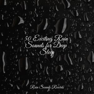 50 Exciting Rain Sounds for Deep Sleep - Calming Waves