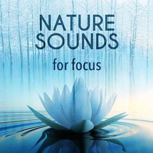 Nature Sounds for Focus - Deep Sleep Meditation