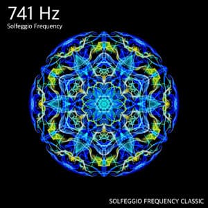 741Hz Remove Toxin and Negative Energy - SOLFEGGIO FREQUENCY CLASSIC