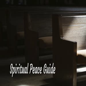 Spiritual Peace Guide - Praise and Worship Orchestra