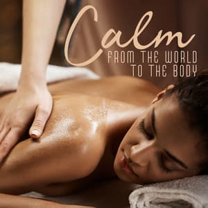 Calm From The World To The Body - Peace Of The Senses
