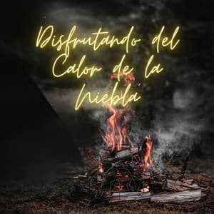 Disfrutando Del Calor De La Niebla - Sonidos de lluvia y truenos