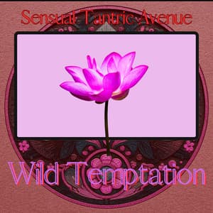 Wild Temptation - Sensual Tantric Avenue