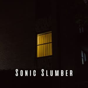 Sonic Slumber: The Music of Sleep - Sad Music