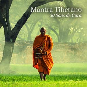Mantra Tibetano: 30 Sons de Cura, Meditação Budista e Mindfulness - Budismo Tibetano Academia