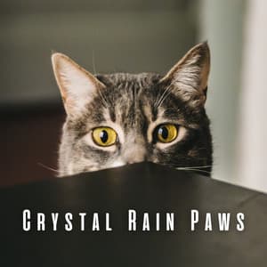 Crystal Rain Paws: Ambient Crystal Singing Bowl for Cats - Ricky Rainsound