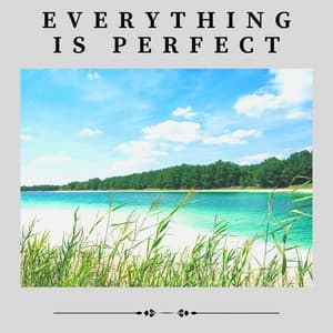 Everything Is Perfect - Sounds of the Forest