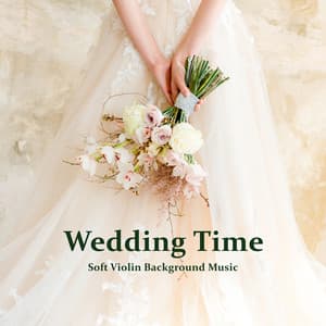Wedding Time: Soft Violin Background Music - Instrumental Wedding Music Zone