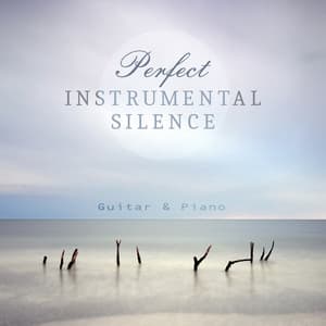 Perfect Instrumental Silence: Guitar & Piano, Relaxing Mood, Ultimate Tracks, Feeling Good, Pregnancy Therapy, Mind Relaxation & Inspiration - True Happiness Academy