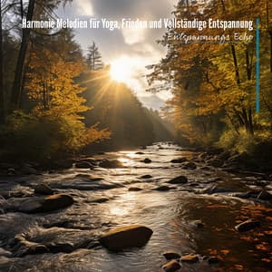 Harmonie Melodien für Yoga, Frieden und Vollständige Entspannung - Entspannungs Echo