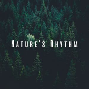 Nature's Rhythm: Ambient Sounds for Uninterrupted Work - Nature Sounds of the Earth