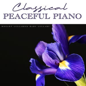 Classical Peaceful Piano - David Christopher Green