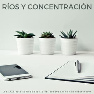 Ríos Y Concentración: Los Apacibles Sonidos Del Río Del Bosque Para La Concentración - Concentrarse en la tarea