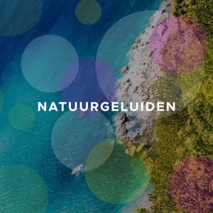 Geluiden Van de Natuur - Heerlijke Ontspannende Achtergrondmuziek - Mindfulness Oefeningen