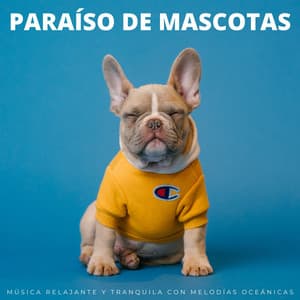 Paraíso De Mascotas: Música Relajante Y Tranquila Con Melodías Oceánicas - Olas del Atlántico
