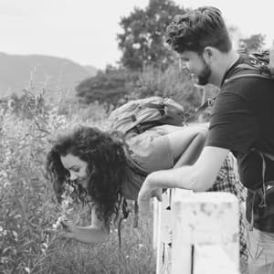 Sublime Music for Mental Health - Trumpet Jazz - Early Morning Jazz