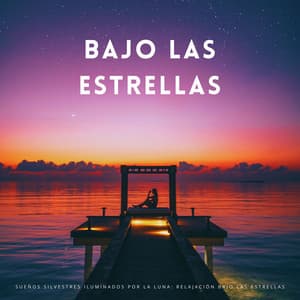 Sueños Silvestres Iluminados Por La Luna: Relajación Bajo Las Estrellas - Zona de Música Sexual