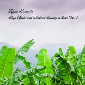 Rain Sounds: Sleep Ritual with Ambient Serenity Music Vol. 1 - Worldwide Nature Studios