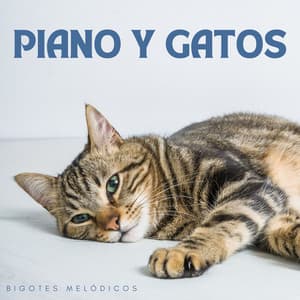 Piano Y Gatos: Bigotes Melódicos - Lista de reproducción de piano jazz de cafetería