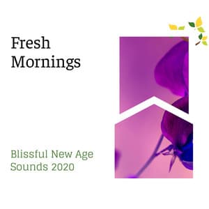 Fresh Mornings - Blissful New Age Sounds 2020 - Spa Music Relaxation