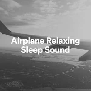 Airplane Relaxing Sleep Sound - The Background Noise Company