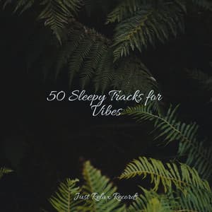 50 Sleepy Tracks for Vibes - Kinderliederbande