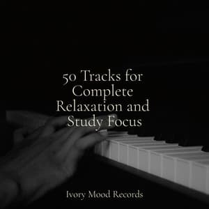 50 Tracks for Complete Relaxation and Study Focus - Ivory Mood