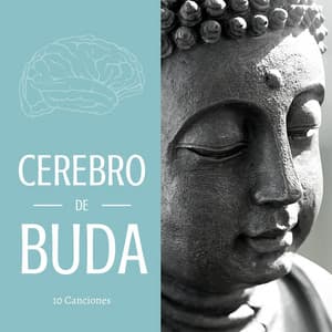 Cerebro de Buda 10 Canciones: Música con Cuencos Tibetanos y Mantras de Felicidad, Amor y Sabiduría - Buena Mañana