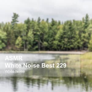 White Noise ASMR Best 229 - White Noise