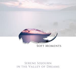 Serene Sojourn in the Valley of Dreams - Soft Moments