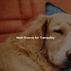 Mutt Groove for Tranquility - Jazz for Working Playlists