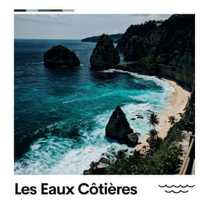 Les Eaux Côtières - Vagues Dans La Mer