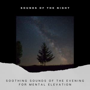 Soothing Sounds of the Evening for Mental Elevation - Sounds of the Night
