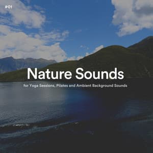 #01 Nature Sounds for Yoga Sessions, Pilates and Ambient Background Sounds - The Nature Soundscapes