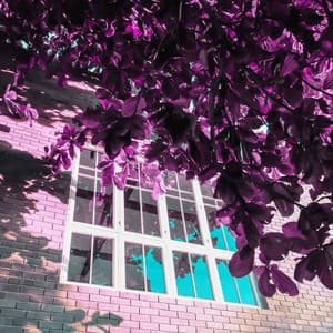 Unique Music for Another Rhythm - Acoustic and Electric Piano Duo - Cleaning Music