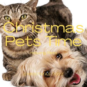 A Christmas Pets Time - Pet Music Therapy