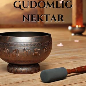Gudomlig nektar: Tibetansk meditativ helande musik för andlig bemyndigande - Meditationsmusik zen institute