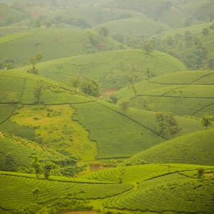 01 Noise Machine: Serenity - White Noise Therapy