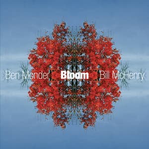 Bloom - Ben Monder