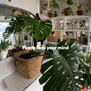 Plants heal your mind - Abendessen Jazz Ambiente