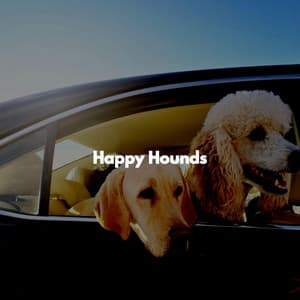 Happy Hounds - Doggy Relaxing Sounds