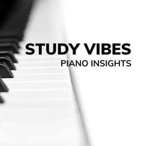 Study Vibes: Piano Insights - Studying Music Playlist