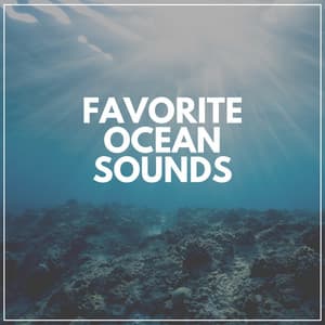Favorite Ocean Sounds - Sea of Waves