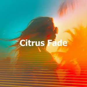 Citrus Fade - Paradise Café