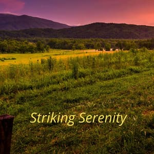 Striking Serenity - Beach Top Sounders
